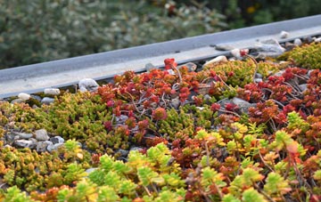 the cost of Upper Canada green roof installation